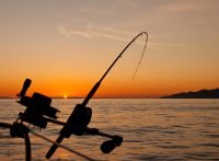 Hur du fångar fisk: En nybörjarguide